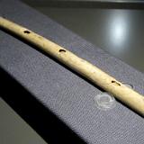 1608G 139 Blaubeuren Ur-Museum